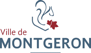 Logo de la mairie de la ville de Montgeron : arche gonflable L = 4 m x H = 3 m, avec 10 marquages amovibles